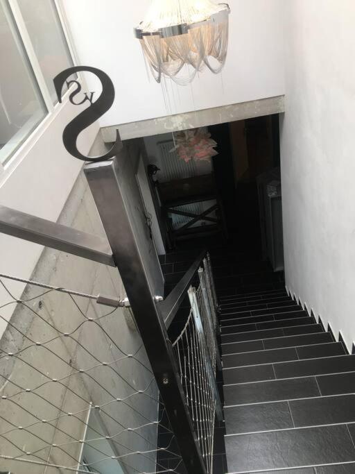 Vip Design Apartment M. Dachterrasse دريسدن المظهر الخارجي الصورة